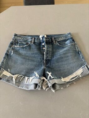 Agolde Parker long short NWOT